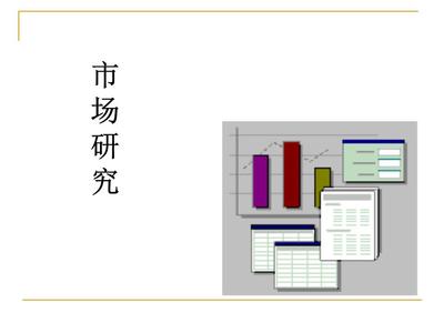 市場調(diào)查 洞察商業(yè)機遇的專業(yè)指南